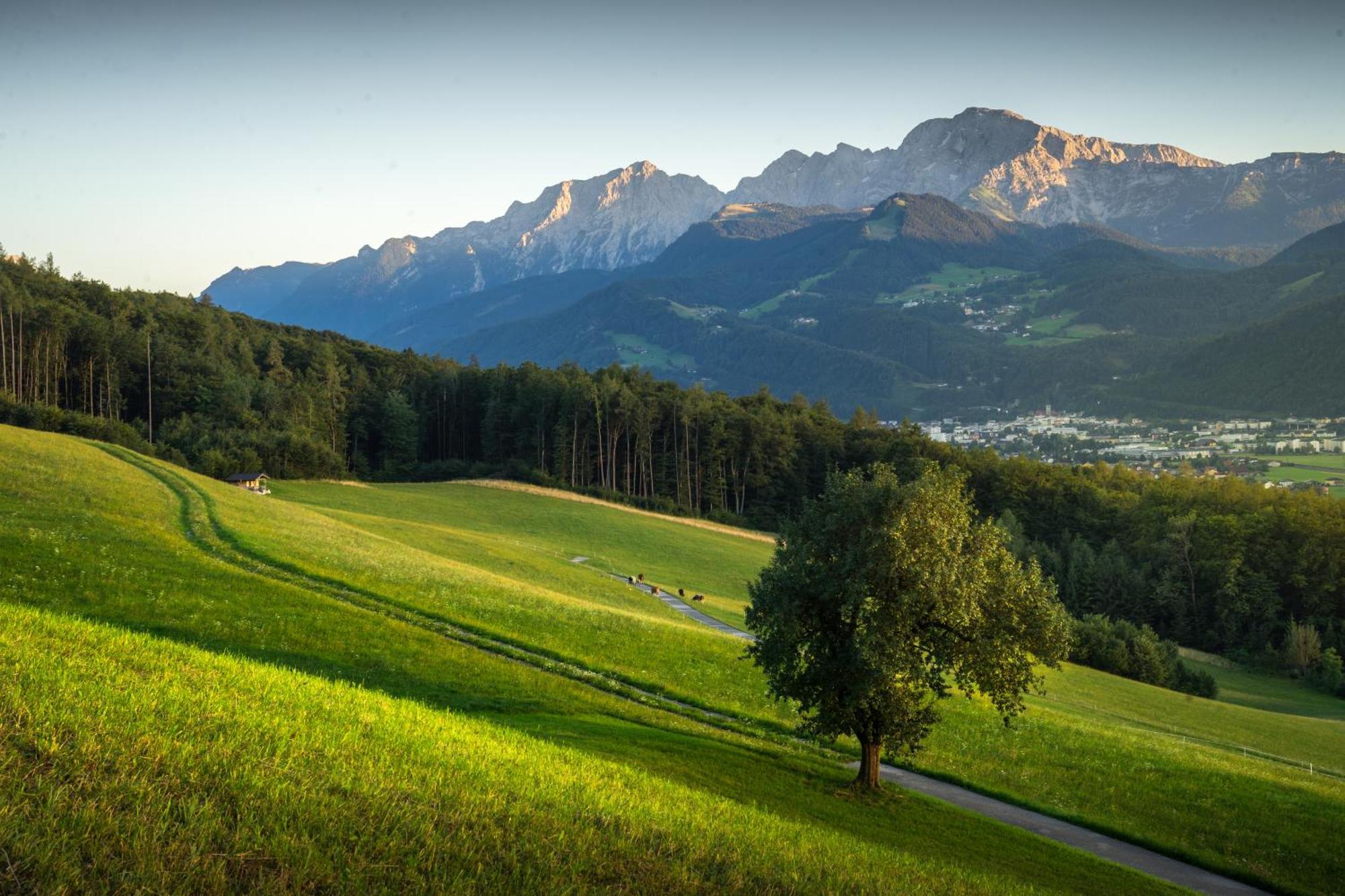 Landhaus Armstorfer Puch bei Hallein Exterior foto